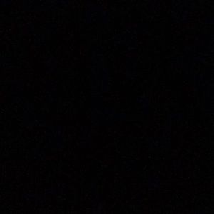 Meet your Posher, Tracey